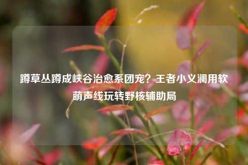 蹲草丛蹲成峡谷治愈系团宠?王者小义澜用软萌声线玩转野核辅助局