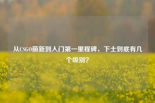从CSGO萌新到入门第一里程碑,下士到底有几个级别?