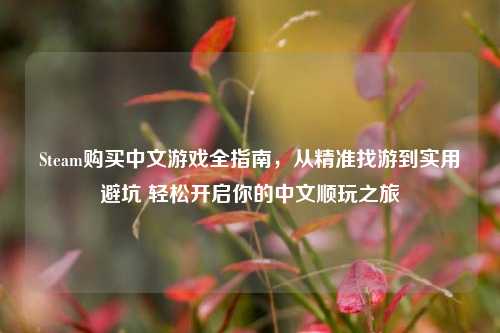 Steam购买中文游戏全指南,从精准找游到实用避坑 轻松开启你的中文顺玩之旅