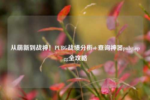 从萌新到战神!PUBG战绩分析+查询神器pubg.op.gg全攻略
