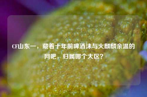 CF山东一,藏着十年前啤酒沫与火麒麟余温的网吧,归属哪个大区?