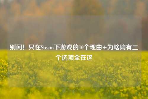 别问!只在Steam下游戏的10个理由+为啥购有三个选项全在这