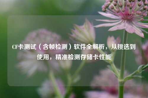CF卡测试(含帧检测)软件全解析,从挑选到使用,精准检测存储卡性能