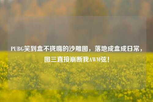 PUBG笑到盒不拢嘴的沙雕图，落地成盒成日常，图三直接崩断我AWM弦！