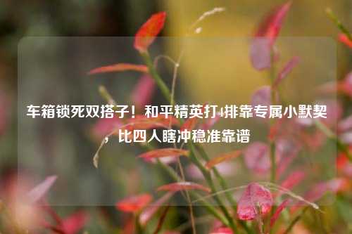车箱锁死双搭子！和平精英打4排靠专属小默契，比四人瞎冲稳准靠谱