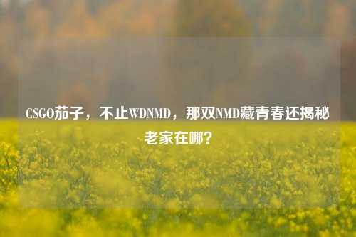 CSGO茄子，不止WDNMD，那双NMD藏青春还揭秘老家在哪？