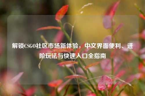 解锁CSGO社区市场新体验,中文界面便利、进阶玩法与快速入口全指南