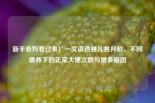 新手爸妈看过来！一文讲透婴儿各月龄、不同喂养下的正常大便次数与增多原因
