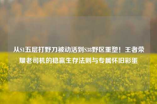 从S1五层打野刀被动活到S38野区重塑！王者荣耀老司机的稳赢生存法则与专属怀旧彩蛋