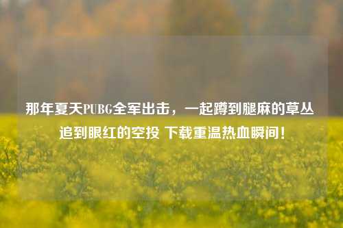 那年夏天PUBG全军出击,一起蹲到腿麻的草丛 追到眼红的空投 下载重温热血瞬间!