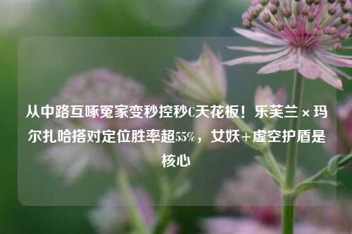 从中路互啄冤家变秒控秒C天花板!乐芙兰×玛尔扎哈搭对定位胜率超55%,女妖+虚空护盾是核心