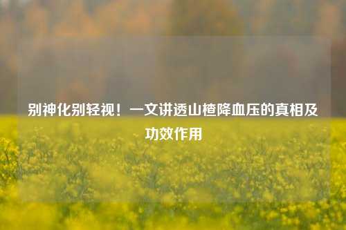 别神化别轻视!一文讲透山楂降血压的真相及功效作用