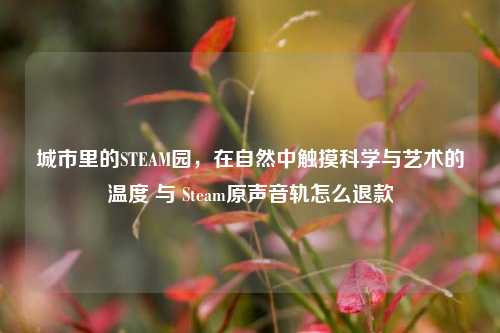 城市里的STEAM园,在自然中触摸科学与艺术的温度 与 Steam原声音轨怎么退款