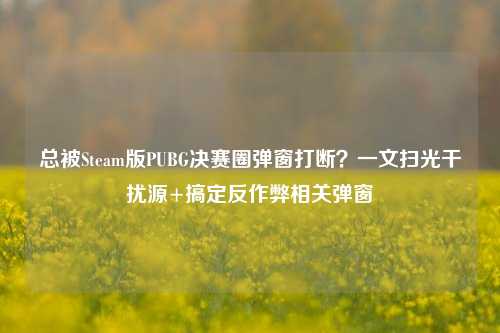 总被Steam版PUBG决赛圈弹窗打断?一文扫光干扰源+搞定反作弊相关弹窗