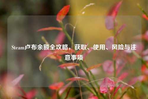 Steam卢布余额全攻略,获取、使用、风险与注意事项