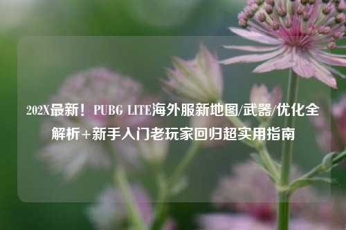 202X最新!PUBG LITE海外服新地图/武器/优化全解析+新手入门老玩家回归超实用指南