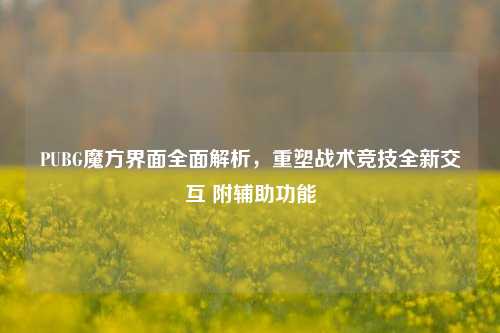 PUBG魔方界面全面解析，重塑战术竞技全新交互 附辅助功能