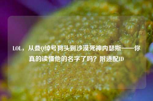 LOL，从叠Q绰号狗头到沙漠死神内瑟斯——你真的读懂他的名字了吗？附适配ID