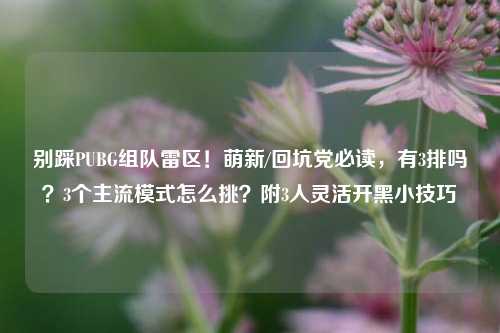 别踩PUBG组队雷区!萌新/回坑党必读,有3排吗?3个主流模式怎么挑?附3人灵活开黑小技巧