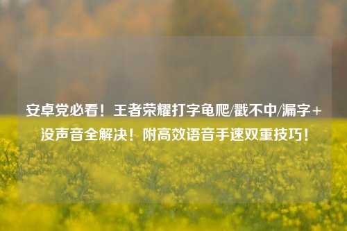 安卓党必看!王者荣耀打字龟爬/戳不中/漏字+没声音全解决!附高效语音手速双重技巧!