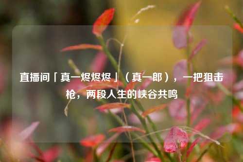 直播间「真一烬烬烬」(真一郎),一把狙击枪,两段人生的峡谷共鸣