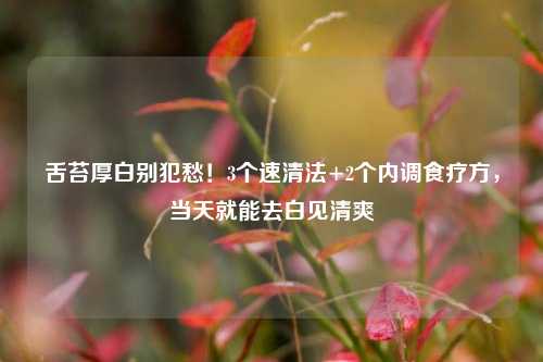 舌苔厚白别犯愁!3个速清法+2个内调食疗方,当天就能去白见清爽