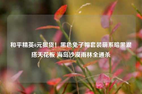 和平精英6元狠货！黑色兔子帽套装萌系暗黑混搭天花板 海岛沙漠雨林全通杀