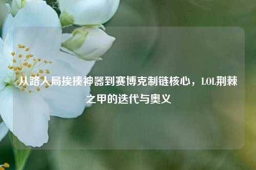 从路人局挨揍神器到赛博克制链核心，LOL荆棘之甲的迭代与奥义