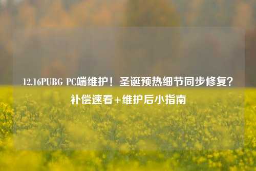 12.16PUBG PC端维护!圣诞预热细节同步修复?补偿速看+维护后小指南