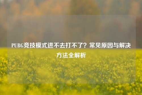 PUBG竞技模式进不去打不了?常见原因与解决方法全解析