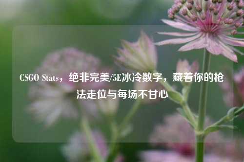 CSGO Stats,绝非完美/5E冰冷数字,藏着你的枪法走位与每场不甘心
