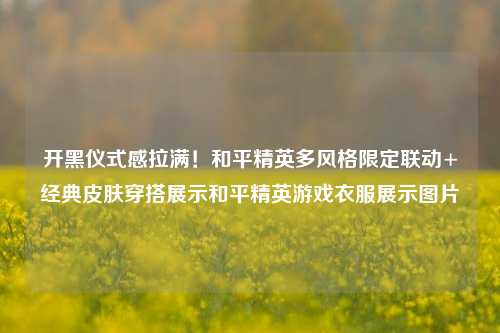 开黑仪式感拉满！和平精英多风格限定联动+经典皮肤穿搭展示和平精英游戏衣服展示图片