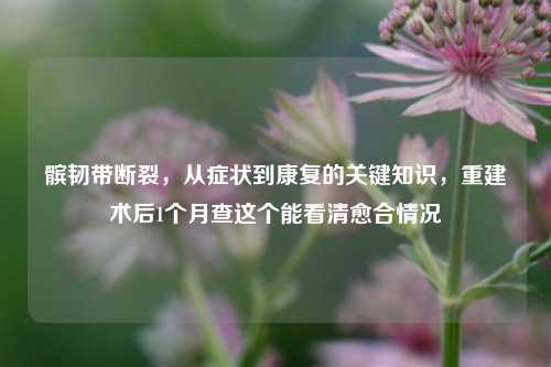 髌韧带断裂,从症状到康复的关键知识,重建术后1个月查这个能看清愈合情况