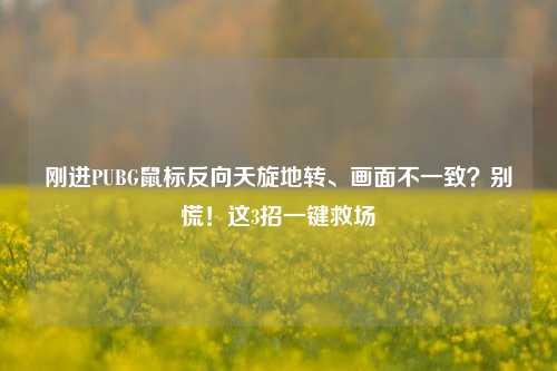 刚进PUBG鼠标反向天旋地转、画面不一致？别慌！这3招一键救场
