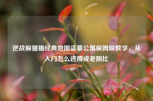 逆战躲猫猫经典地图盗墓公寓保姆级教学，从入门怎么进蹲成老阴比
