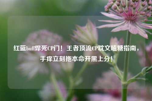 红蓝buff焊死CP门!王者顶流CP耽文嗑糖指南,手痒立刻拖本命开黑上分!