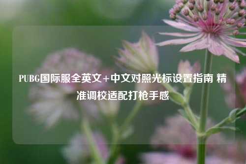 PUBG国际服全英文+中文对照光标设置指南 精准调校适配打枪手感