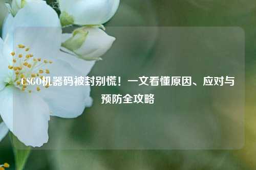 CSGO机器码被封别慌！一文看懂原因、应对与预防全攻略