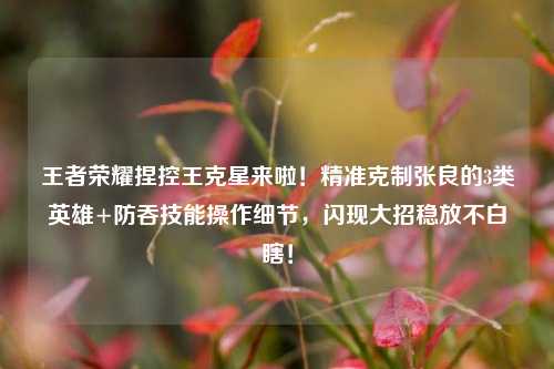王者荣耀捏控王克星来啦!精准克制张良的3类英雄+防吞技能操作细节,闪现大招稳放不白瞎!