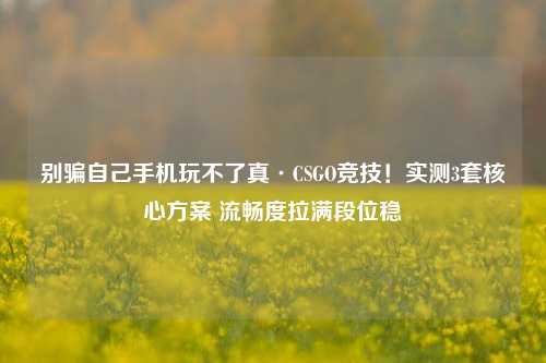 别骗自己手机玩不了真·CSGO竞技!实测3套核心方案 流畅度拉满段位稳