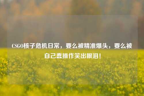 CSGO核子危机日常,要么被精准爆头,要么被自己蠢操作笑出眼泪!