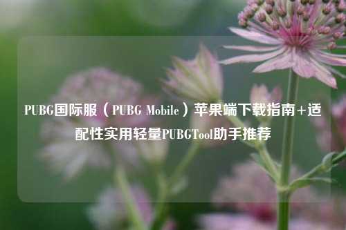 PUBG国际服(PUBG Mobile)苹果端下载指南+适配性实用轻量PUBGTool助手推荐