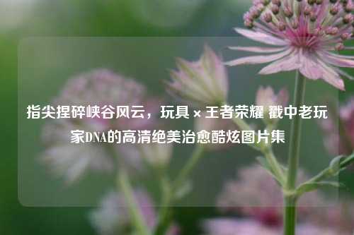 指尖捏碎峡谷风云,玩具×王者荣耀 戳中老玩家DNA的高清绝美治愈酷炫图片集