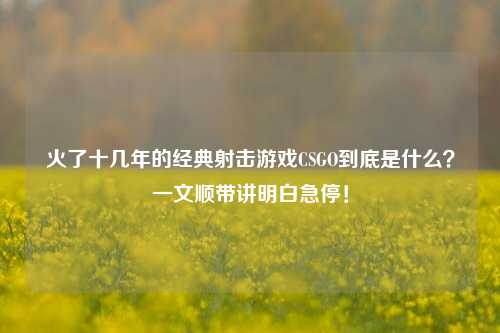 火了十几年的经典射击游戏CSGO到底是什么？一文顺带讲明白急停！