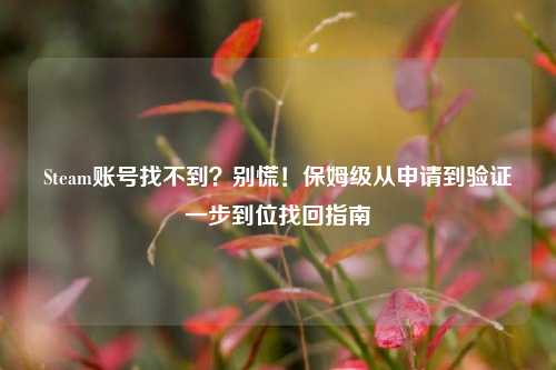 Steam账号找不到？别慌！保姆级从申请到验证一步到位找回指南
