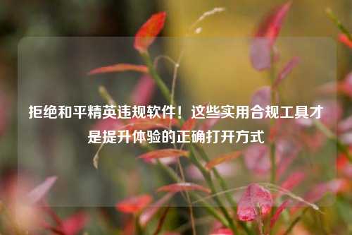 拒绝和平精英违规软件！这些实用合规工具才是提升体验的正确打开方式