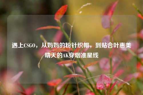 遇上CSGO,从妈妈的粉针织帽,到贴合叶惠美晴天的AK穿烟准星线