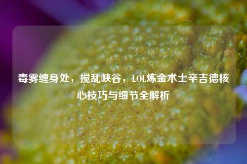 毒雾缠身处，搅乱峡谷，LOL炼金术士辛吉德核心技巧与细节全解析