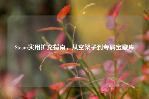 Steam实用扩充指南，从空架子到专属宝藏库