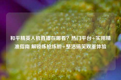 和平精英人机直播在哪看？热门平台+实用精准指南 解锁练枪练胆+整活搞笑双重体验
